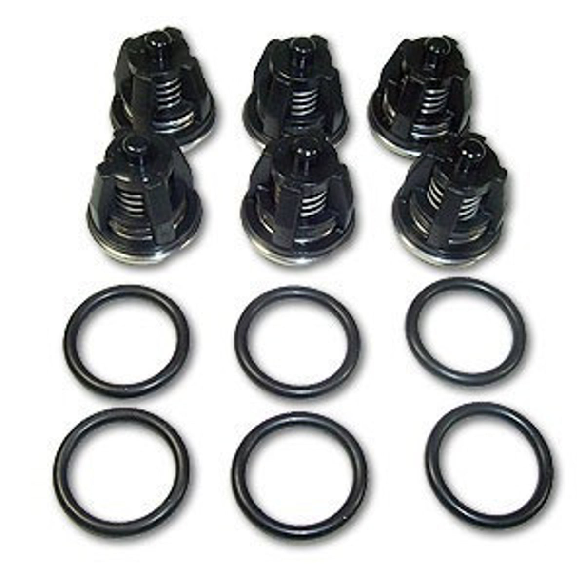103001X CHECK VALVE KIT PW SM