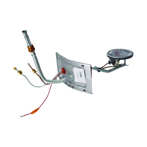 Rheem AM51017 Burner/Door Assembly – Durable OEM Combustion Chamber Component
