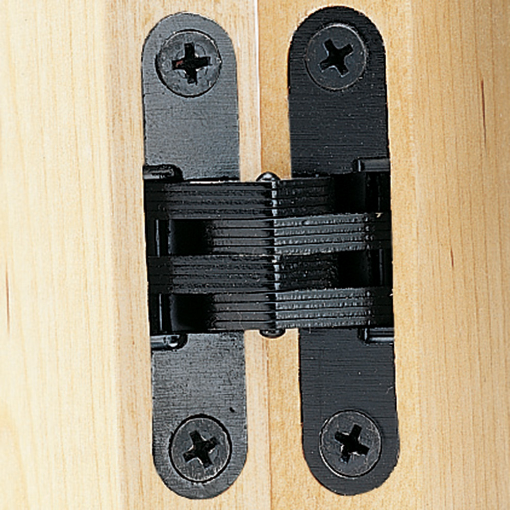 Concealed Soss Hinges-Black Finish