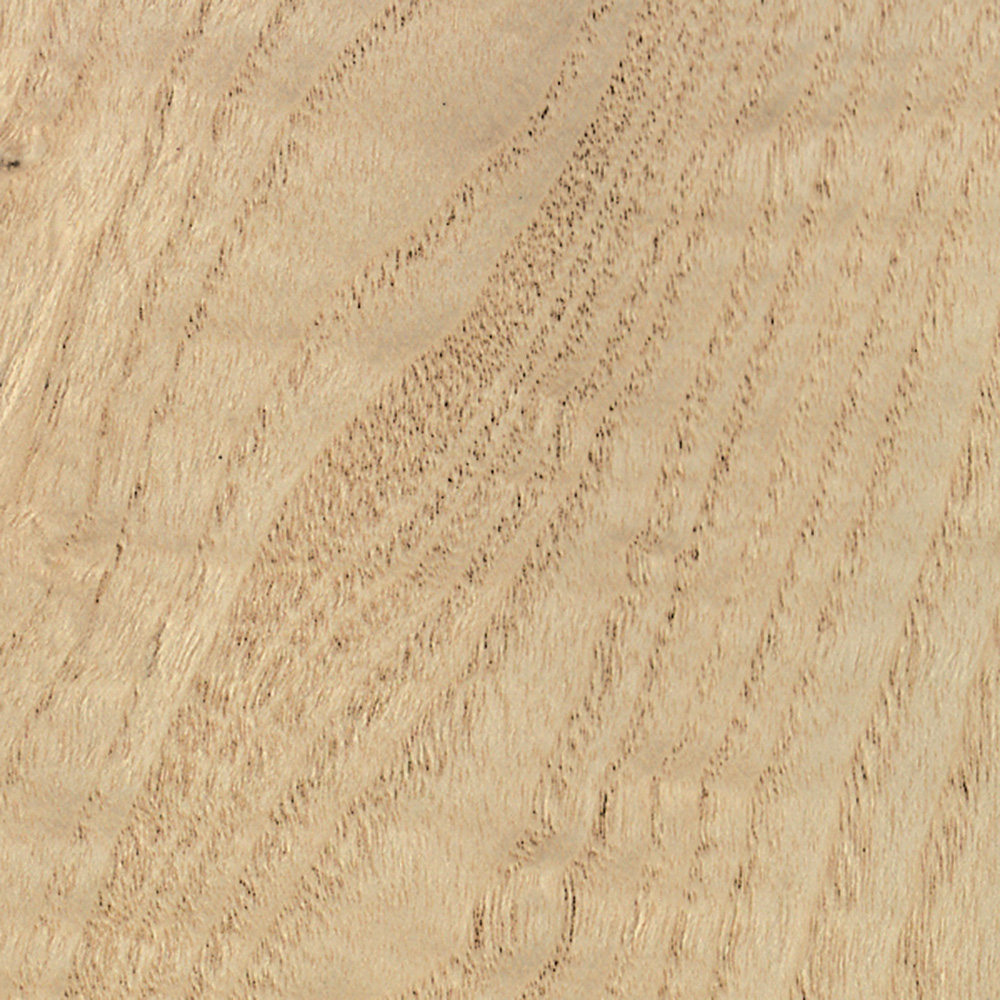 Burl 3 Square Foot Veneer Packs