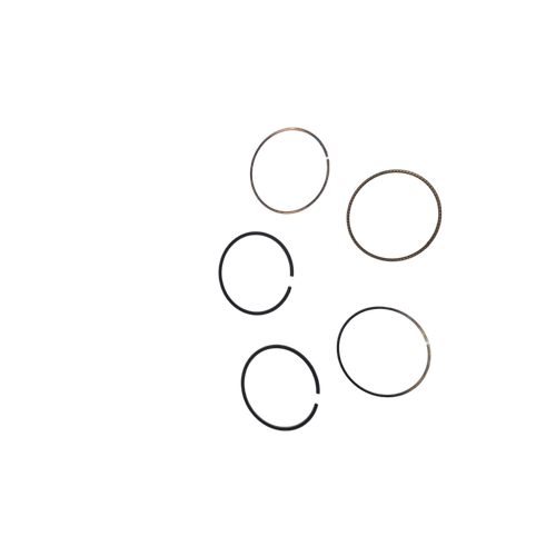BRIGGS & STRATTON part 791792 RING SET020 (OEM part)