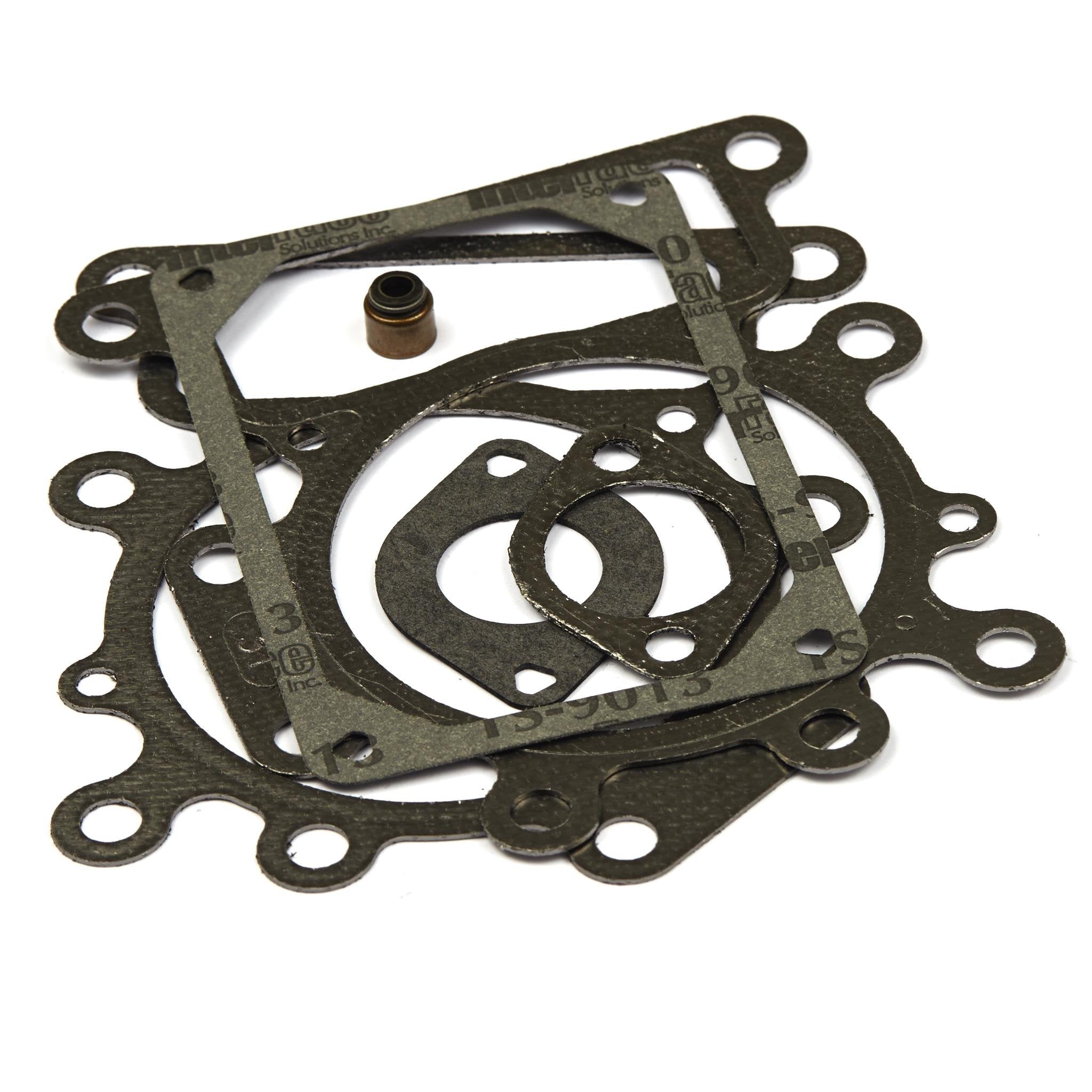 Genuine OEM Briggs & Stratton Part # 794152 Valve Gasket Set