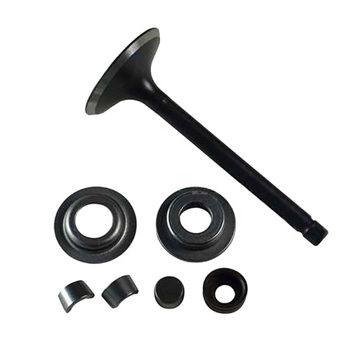 BRIGGS & STRATTON part 797777 VALVEINTAKE (OEM part)