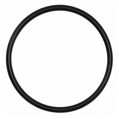 BRIGGS & STRATTON part 842538 SEALO RING (OEM part)