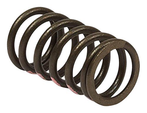 Genuine OEM Briggs & Stratton Part # 845589 Valve Spring