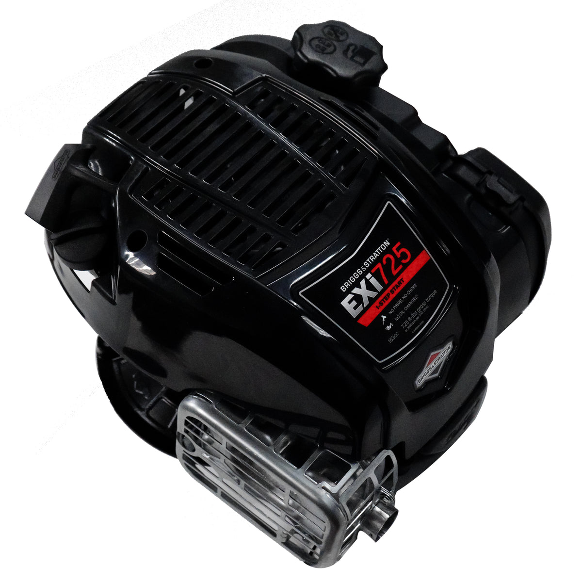 Briggs & Stratton 104M02-0196-F1 7.25 Engine