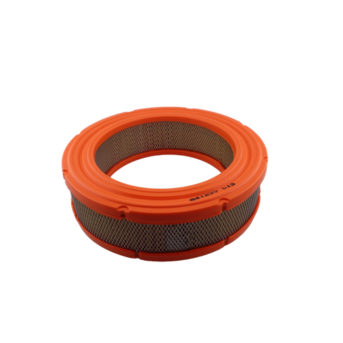 BRIGGS & STRATTON part 841856 FILTERAIR CLEANER CARTRIDGE (OEM part)