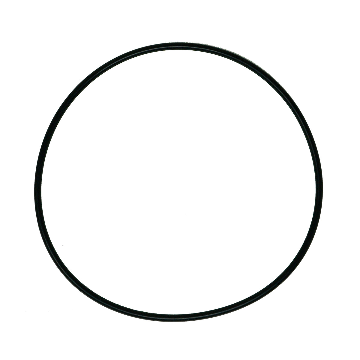 Western 66519 O-Ring