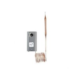 Johnson Controls A28AA-29 2-SPDT 2-Stage Temperature Control -30°-100°F 8" Capillary