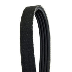 Walker 7248 Drive Belt Replacement | WA7248