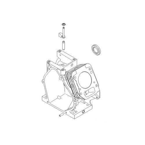 BRIGGS & STRATTON part 699490 CYLINDER ASSEMBLY (OEM part)
