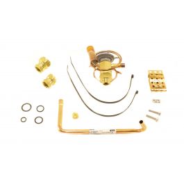 Rheem-Ruud PD619063 4-Ton Thermal Expansion Valve (Txv) Kit R-22